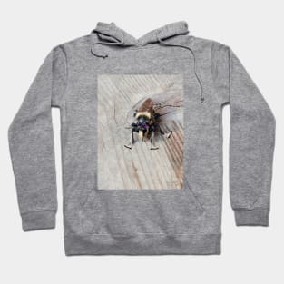 Pretty fly for a smoll guy Hoodie